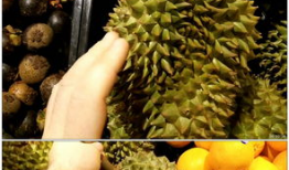 榴莲视频下载,解锁海量精彩瞬间，尽享视听盛宴